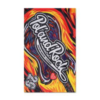 29. Pol'and'Rock Gitara