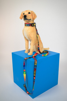 Obroża regulowana - TU WSZYSTKO SZCZEKA OK!